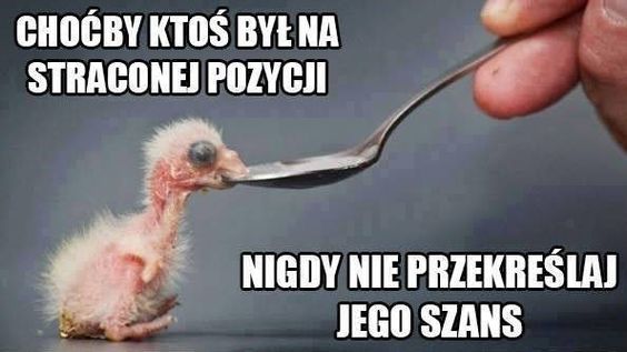 Nawet najmniejsi i najsłabsi zasługują na szansę.
Każde życie ma wartość wystarczy odrobina troski, aby dokonać wielkiej zmiany. ❤️
Pomóż nam wspierać zwierzęta, które najbardziej potrzebują naszej opieki.
ratujemyzwierzaki.pl/fmaotul-cieplem