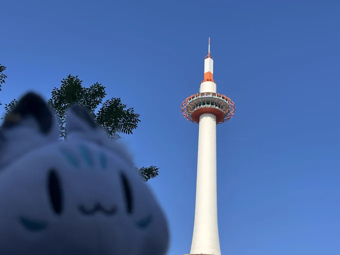 京都で友人と散歩
途中でいいもん見れた…✨ 