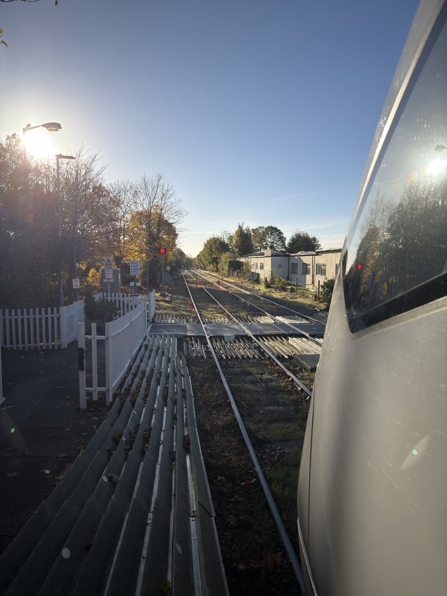 George 🚂 tweet media