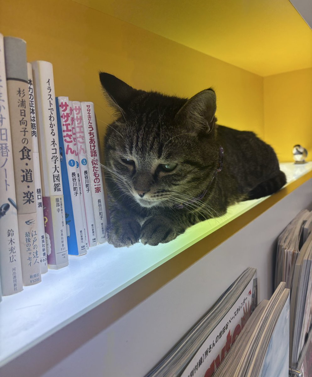 だいふく 大福の大ちゃん on X