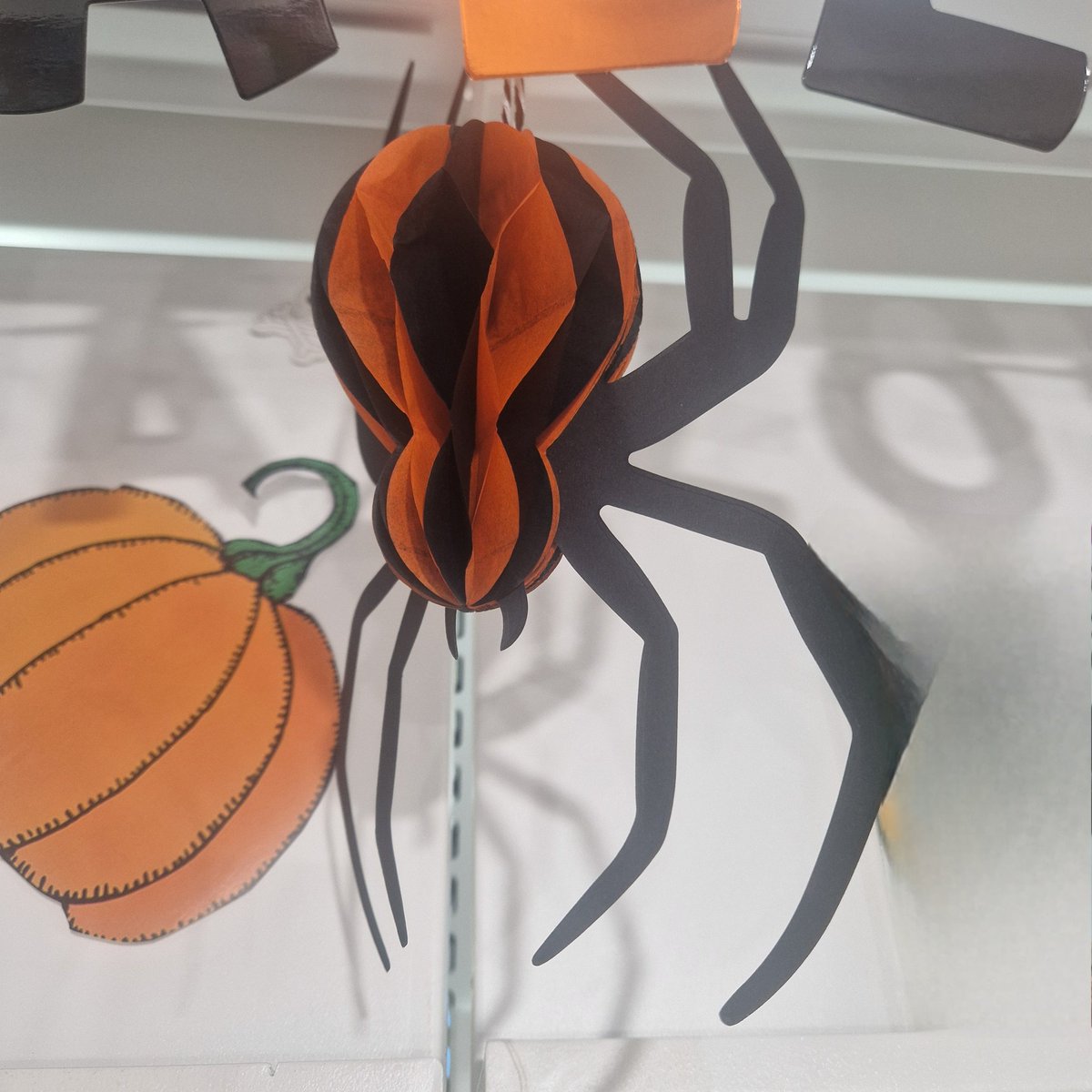 KnebCommLibrary's tweet image. HAPPY HALLOWEEN 

Pop into Knebworth Library this afternoon to check outbour spooky display &amp;amp; books

#Knebworthibrary #halloweenatthelibrary