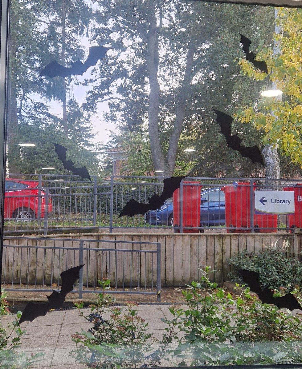 KnebCommLibrary's tweet image. HAPPY HALLOWEEN 

Pop into Knebworth Library this afternoon to check outbour spooky display &amp;amp; books

#Knebworthibrary #halloweenatthelibrary