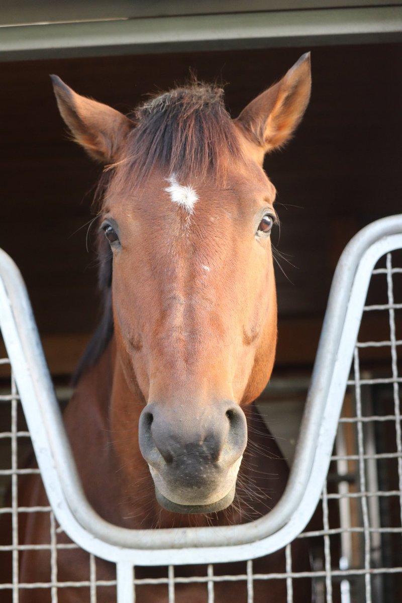 ⭐︎加奈⭐︎ カンナ@インテ8/17 4号館 ゆ58・59 (@2kanna5) / Posts / X