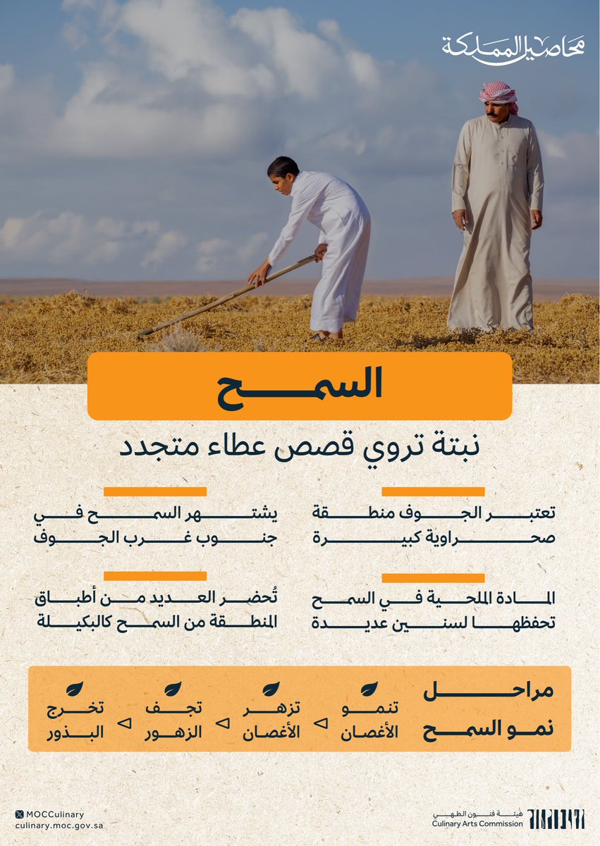 من خيرات الجوف، تُعرف نبتة السمح بمذاقها الفريد الذي يدخل بالعديد من وصفات المنطقة 🌾✨

شاهدوا الحلقة كاملة الآن على قناة اليوتيوب!
youtube.com/watch?v=0-80Lv…

#محاصيل_المملكة
#هيئة_فنون_الطهي