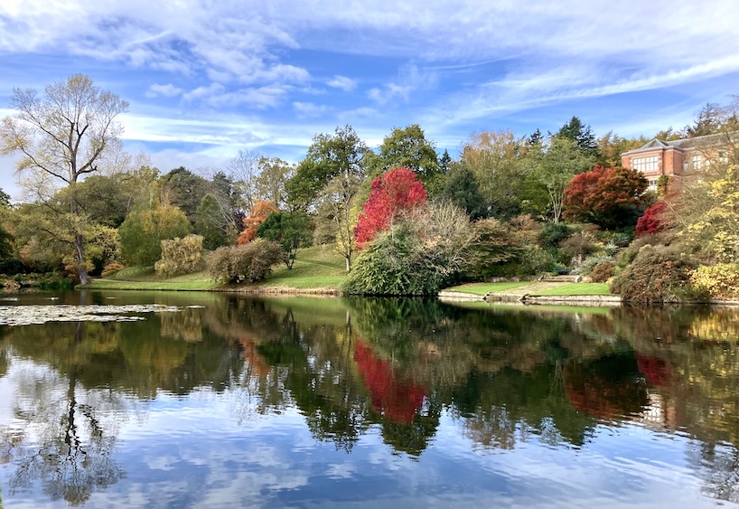 Ian Weightman tweet media