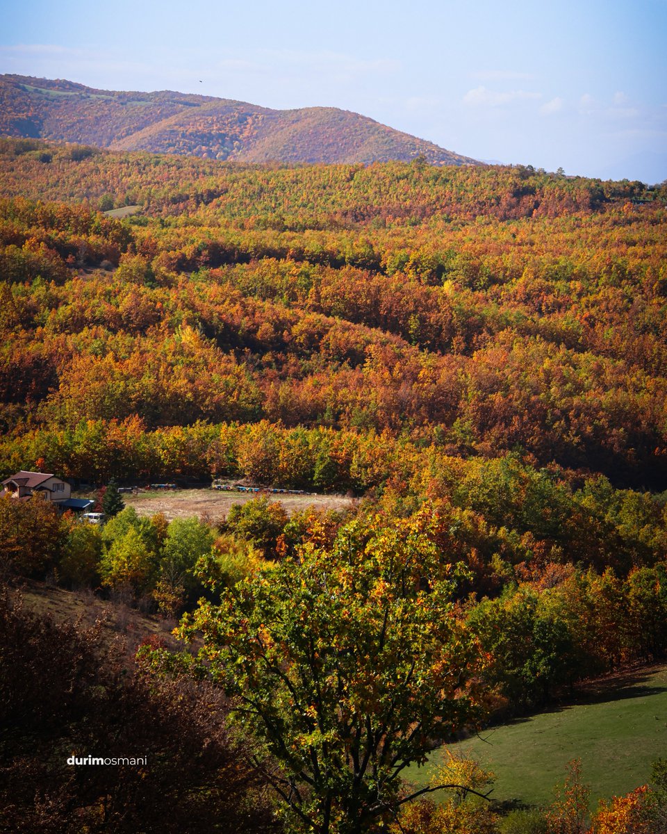 DurimOsmani's tweet photo. Mali digjet nรซ ngjyrat e arta tรซ stinรซs ๐๐ฅ๐
Magjia e vjeshtรซs nรซ รงdo detaj ๐โจ
#AutumnVibes #NaturePhotography #FallMagic #Kosovo #GoldenSeason #Photography https://t.co/8XNsIDme8a