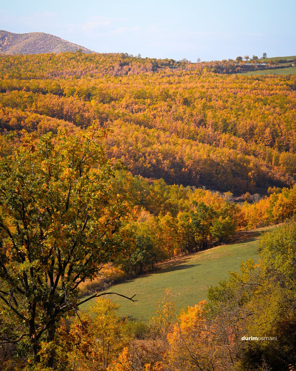 DurimOsmani's tweet photo. Mali digjet nรซ ngjyrat e arta tรซ stinรซs ๐๐ฅ๐
Magjia e vjeshtรซs nรซ รงdo detaj ๐โจ
#AutumnVibes #NaturePhotography #FallMagic #Kosovo #GoldenSeason #Photography https://t.co/8XNsIDme8a