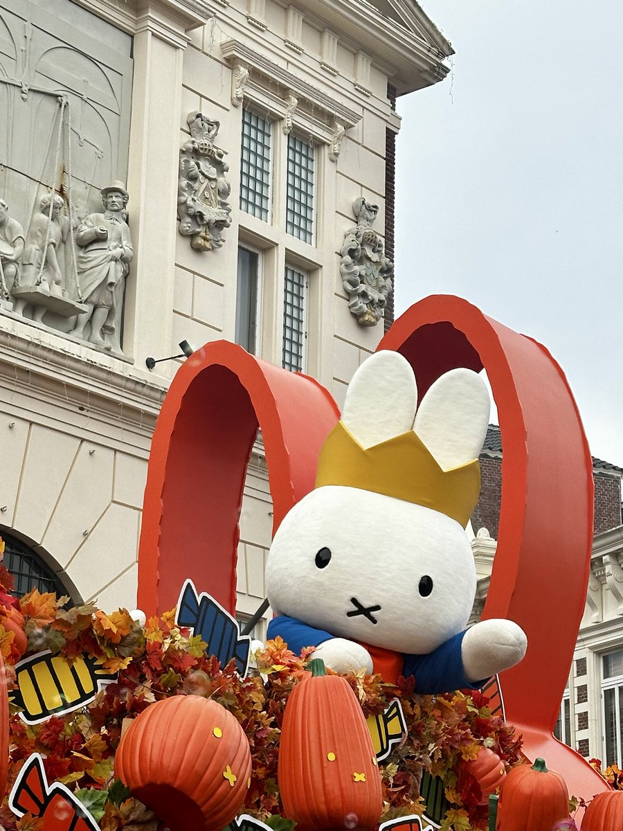 さちどんΣ└|∵|┐🟢🐧🌻🐻🍉🐗 (@sachidon8868) / Posts / X