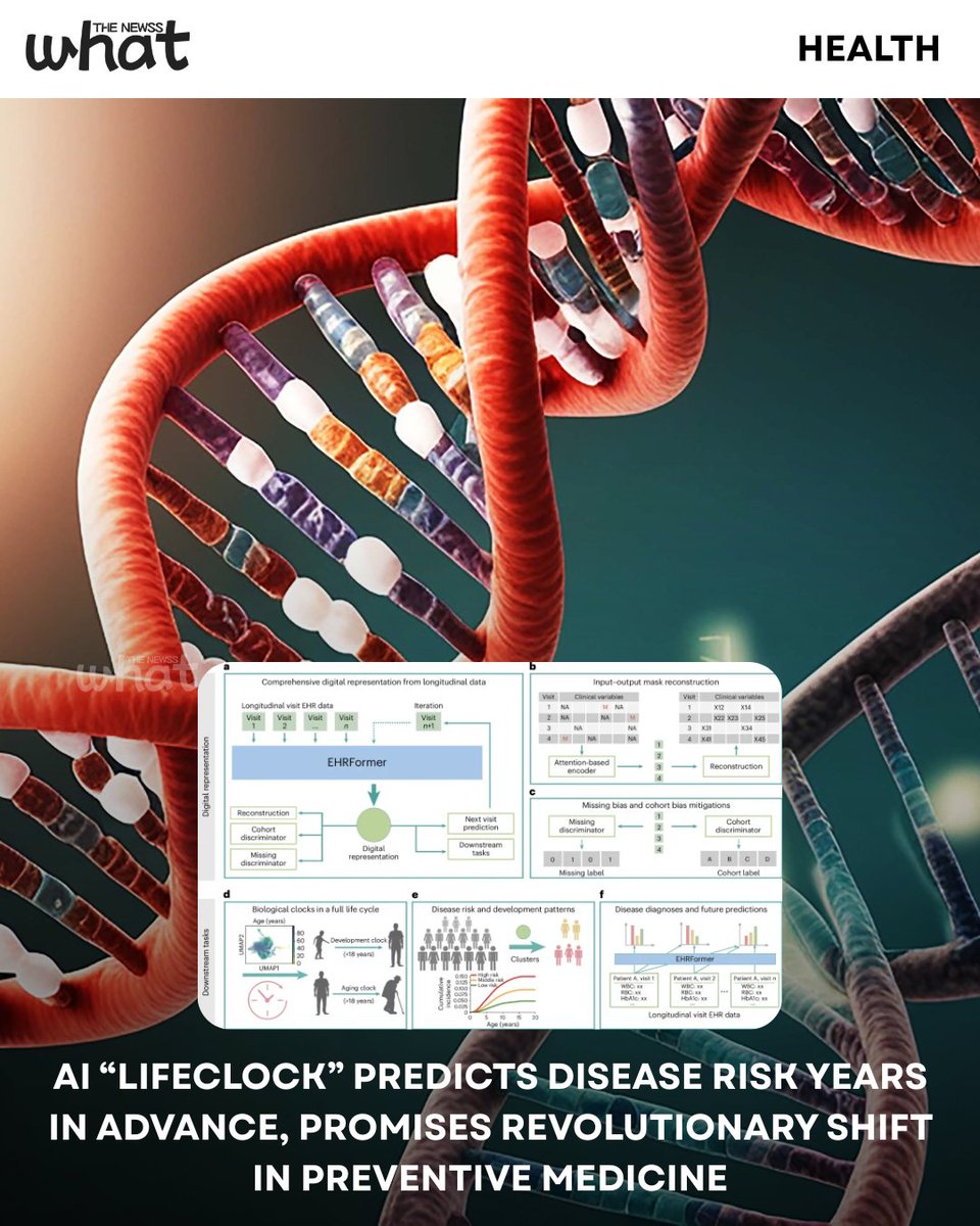 whatthenewss's tweet photo. Researchers reveal “LifeClock,” an AI model that predicts disease risk years in advance using regular health data—redesigning preventive medicine from childhood through aging.

#WhatTheNewss #LifeClock #AI #HealthCare #PreventiveMedicine #ResearchUpdate https://t.co/bkF35LTHQw