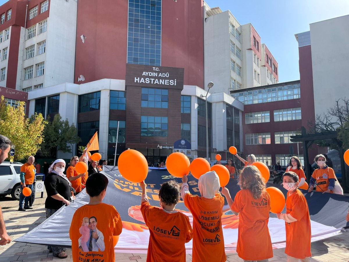 canbulattburcu's tweet photo. İyileşmiş kahraman çocuklarımız hastanede tedavi olan arkadaşlarına umut olmak için uzattılar balonlarını gökyüzüne. 🎈
#UmudunAdıLÖSEV
@losev1998 @ustunezer @hulya_unver https://t.co/pNzLsU1WgT