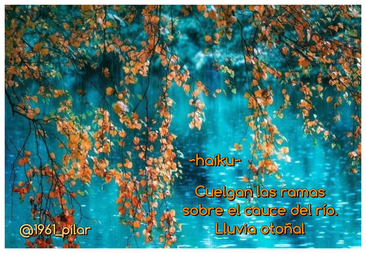 Un nuevo amanecer ¡Buenos días!

Cuelgan las ramas...

~haiku~

#LYF15  #VAFlorDePiel