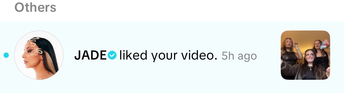 libs ✨ tweet media