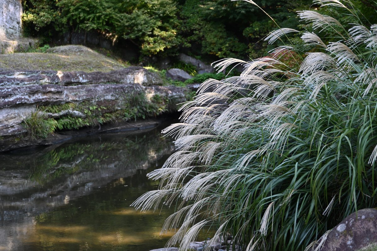 鎌倉市観光協会 on X