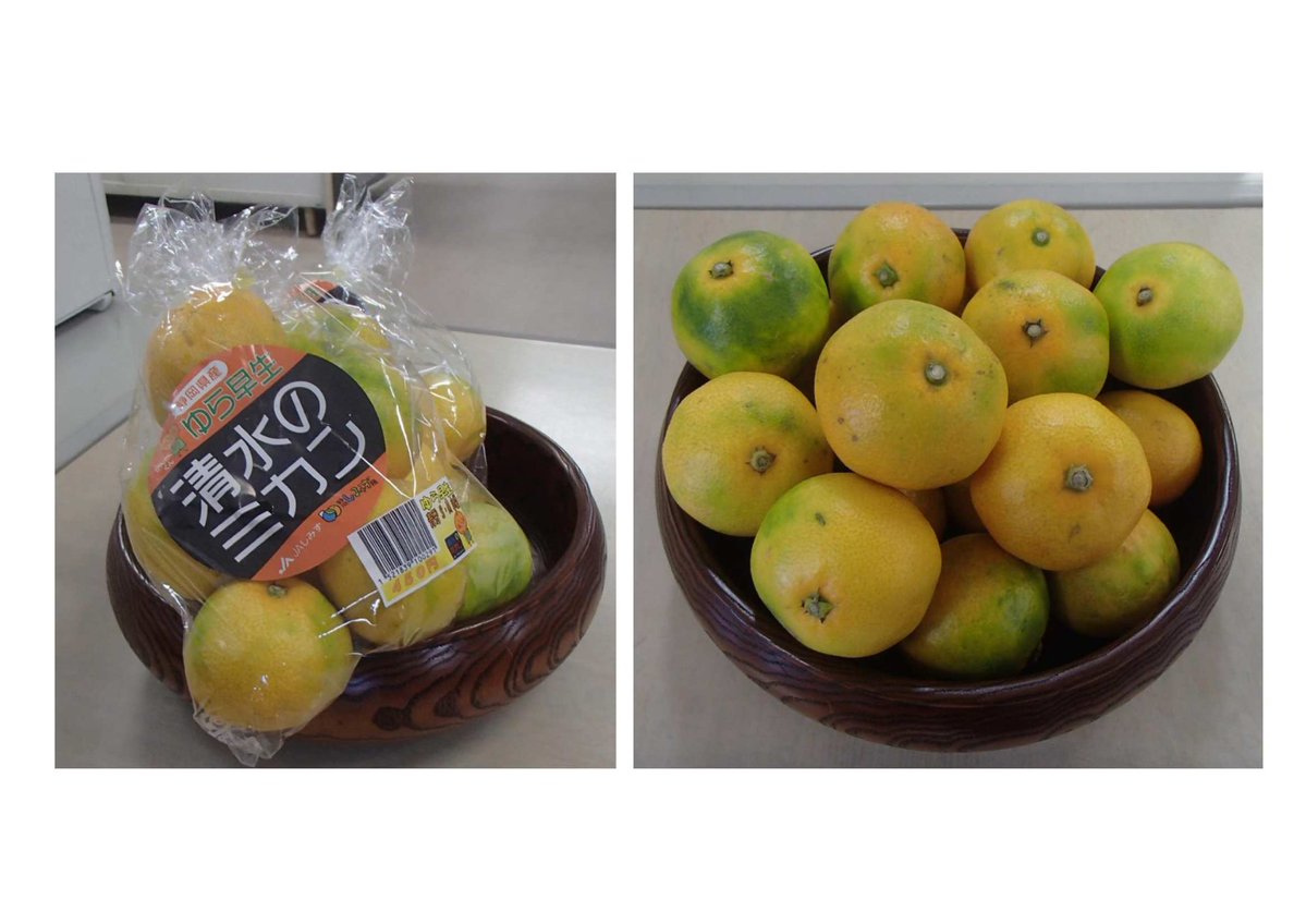 ゆずみかん ゆずみかん on X