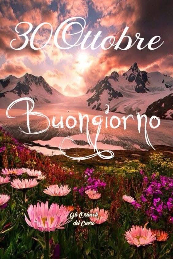 RITABIANCHi56 tweet media