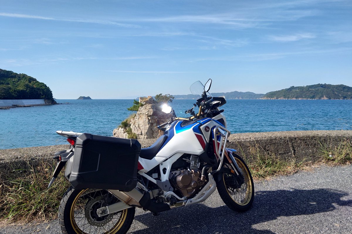 black_tree様 Women's Tree Loungers - Slip-Ons | Allbirds