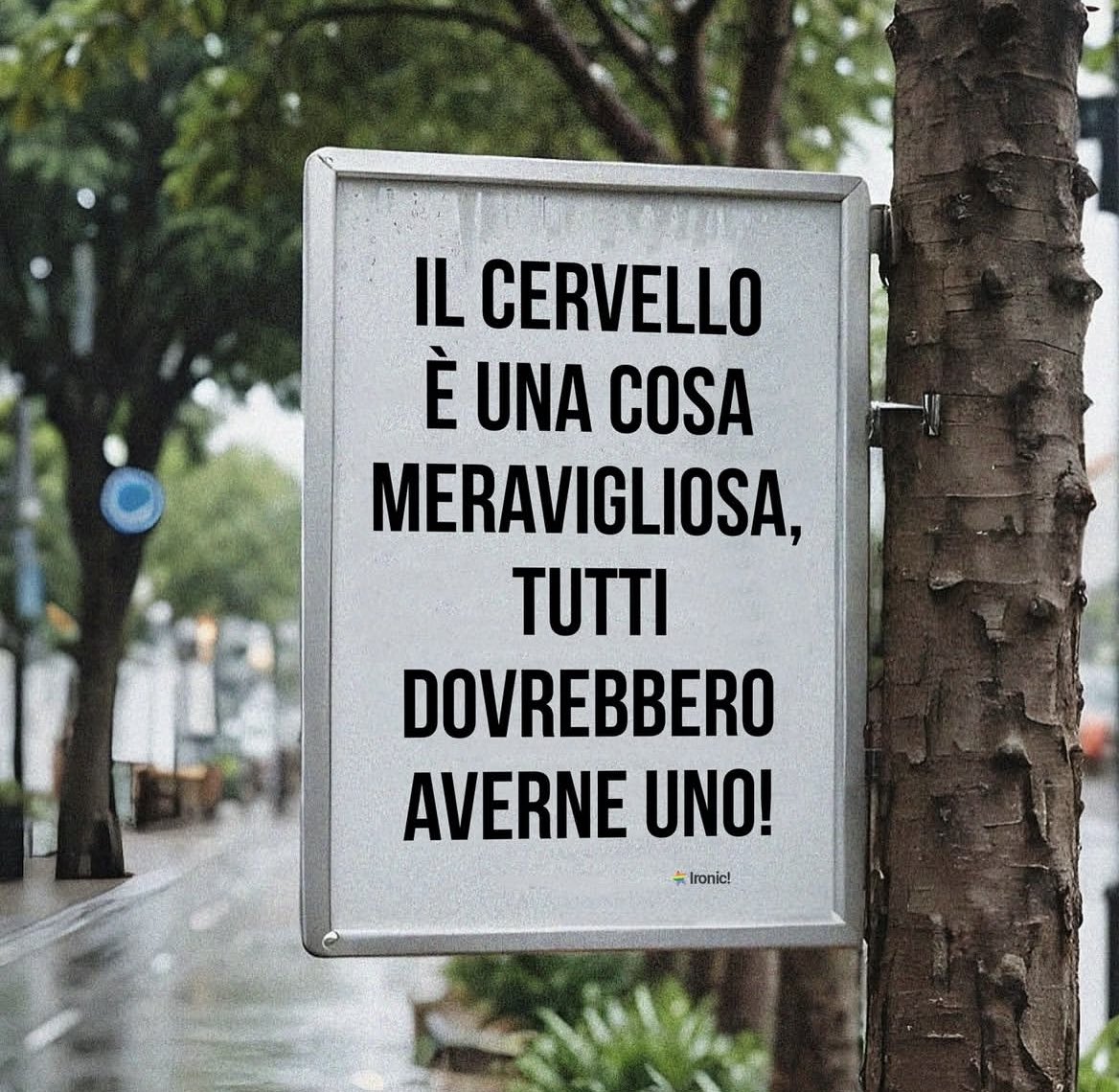 sexytudine's tweet photo. Ultimamente manca a tanti😅🧠 https://t.co/Nr8viM1OJB