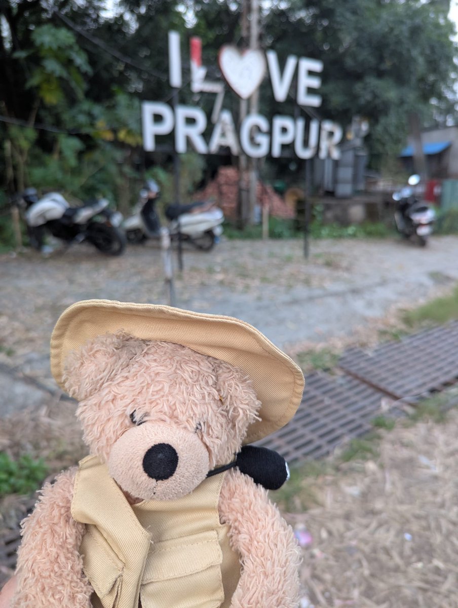 FlynnTheBear's tweet photo. I am loving it in Pragpur. #Flynn #FlynnTheBear #India #Pragpur https://t.co/35vClVcb1b