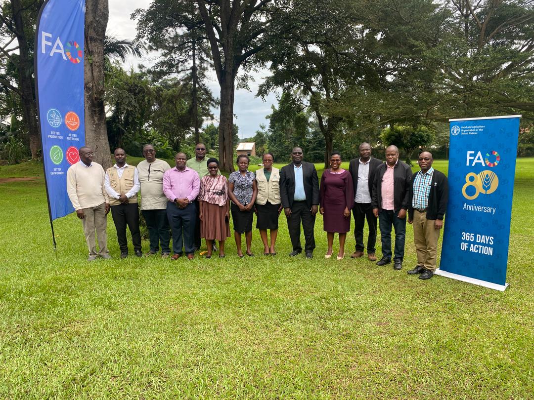FAO in Uganda tweet media