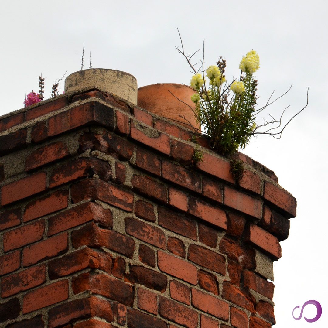 infinhomesvcs's tweet image. 🔥 Before lighting that first fire of the season, make sure your chimney is safe and clear. Our professional inspections help prevent blockages, smoke issues &amp;amp; fire risks.

#ChimneySafety #HomeCare #AlwaysThere