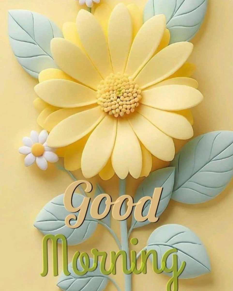 Blessed (@c_zaza_c) on Twitter photo 