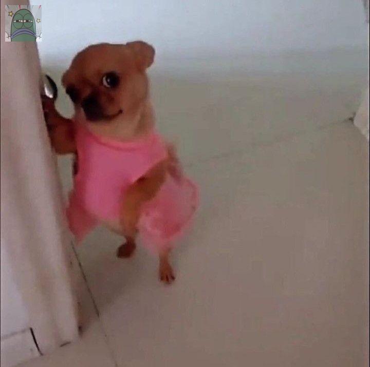 Tanyarlfes tweet media