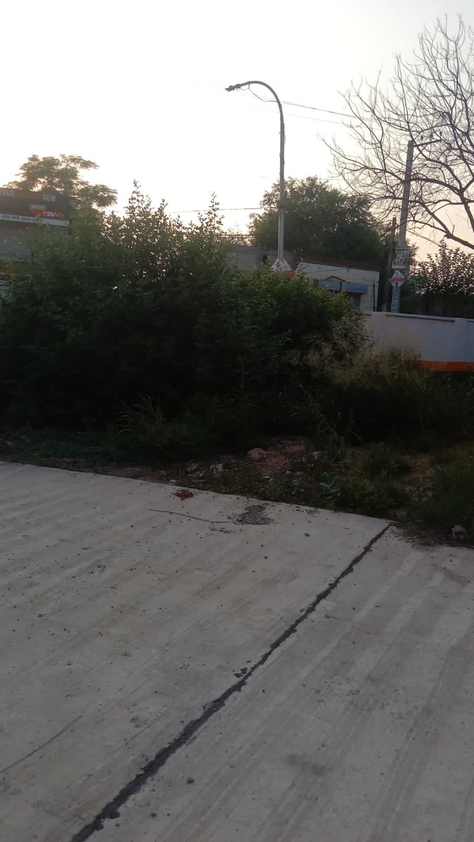 FCI DO MOGA tweet media