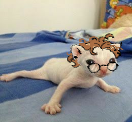 Kalil 🖤 C0MMS PAUSED tweet media