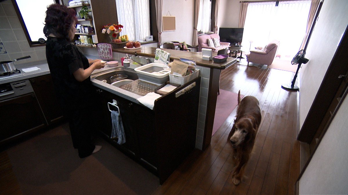 cx_mezamashi's tweet image. #きょうのわんこ に登場してくれたのは「りー」でした🐶おばあちゃんわんこのりーの楽しみはゆで卵🥚卵の割る音が聞こえるとキッチンでおねだりするんだって😛

きょうのわんこはFODで無料配信中→fod.fujitv.co.jp/title/3291/

#めざましテレビ