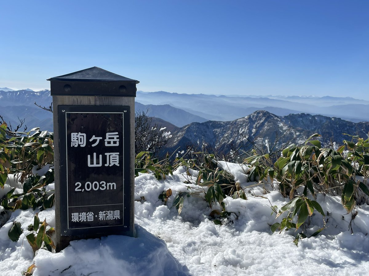 eri🐧🐿🍄🍬🍶 on X