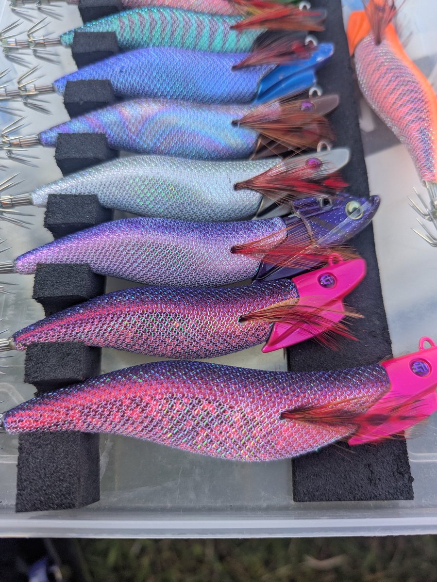 キーストン　エギ　セット　① 送料無料】エギシャープ厳選セット – Keystone Direct Shop