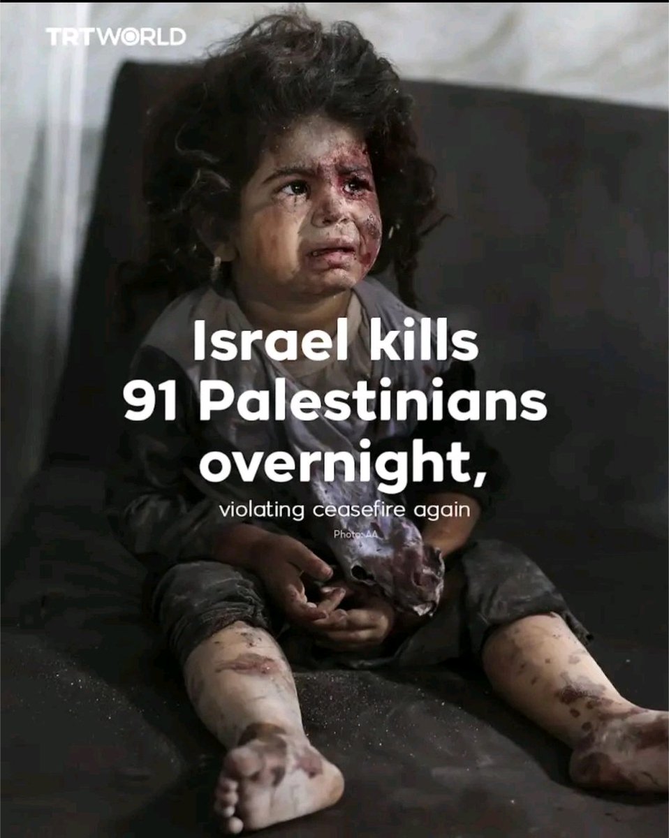salihunaltr's tweet image. Israel is not a state but only a #terrorist #organization!

Israel doesn&apos;t fights against an army but innocent civilians !
It is not a war!
It is a genocide and terrorism!
#Israel
#terrorism
#Gaza
#Genocide