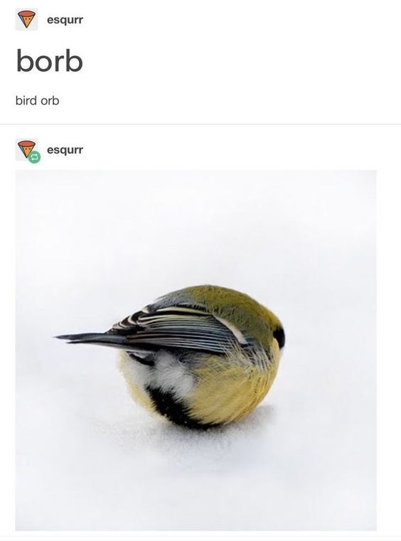 WholesomeMeme's tweet photo. https://t.co/NVyBKDeKSE