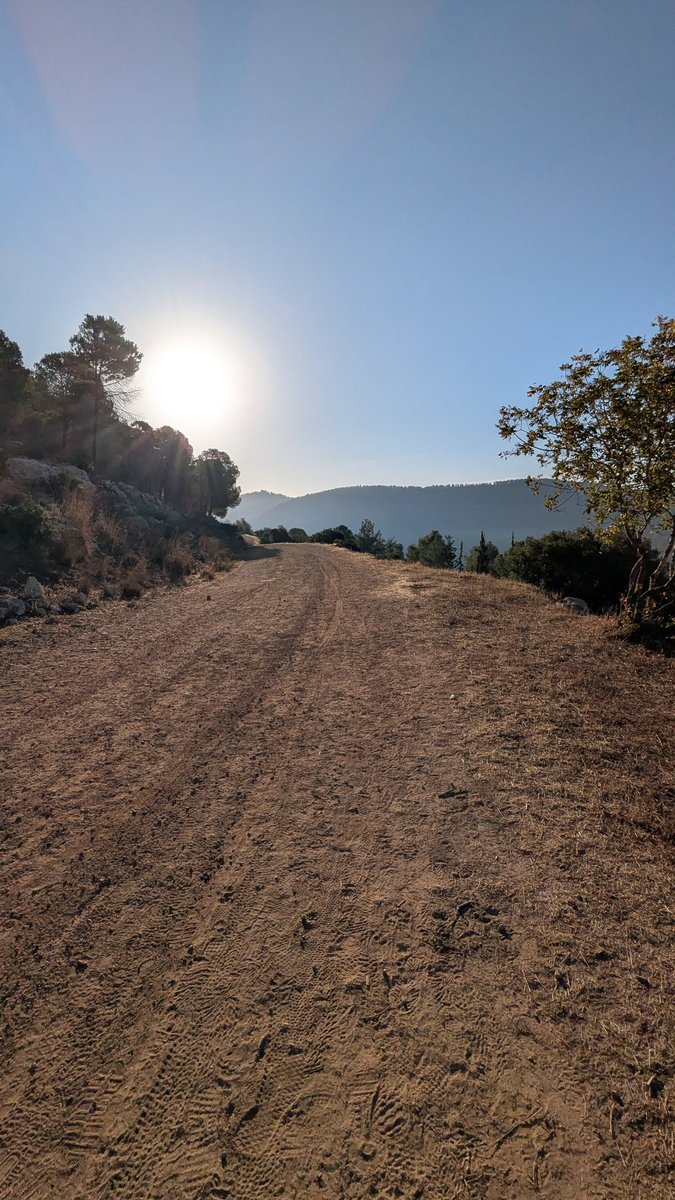 CatRobotIL's tweet image. חום כזה בסוף אוקטובר זה רמיסה גסה של חוקי הטבע, החוק האלוהי וחוק גודווין