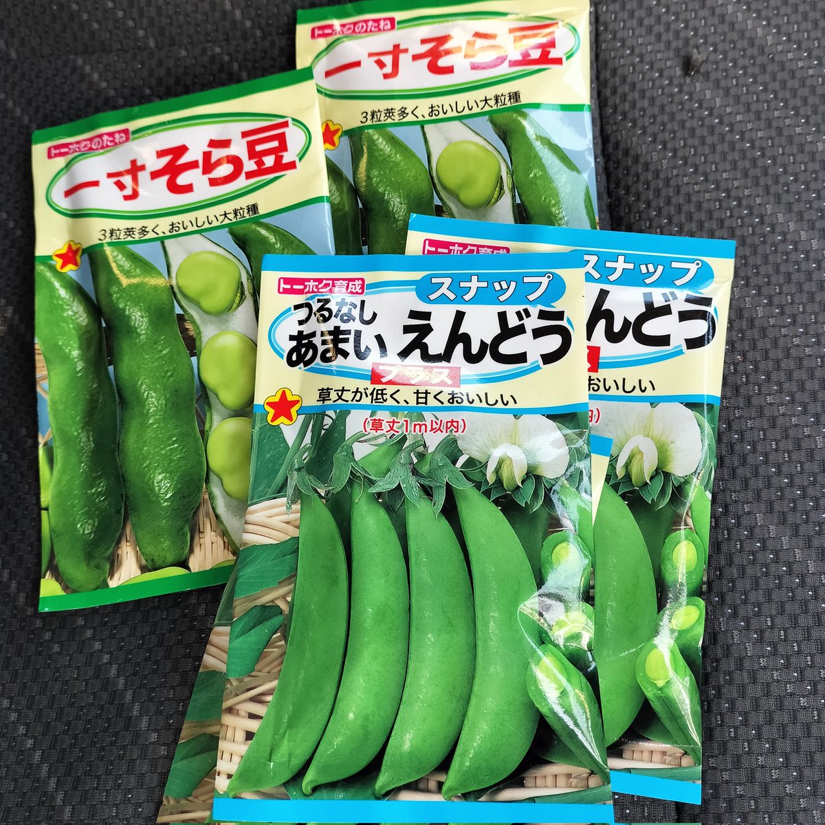 マメが好きなので
自家用にマメの種を撒きました（多すぎ）
 #農業
 #おやまの農園ほーんびる