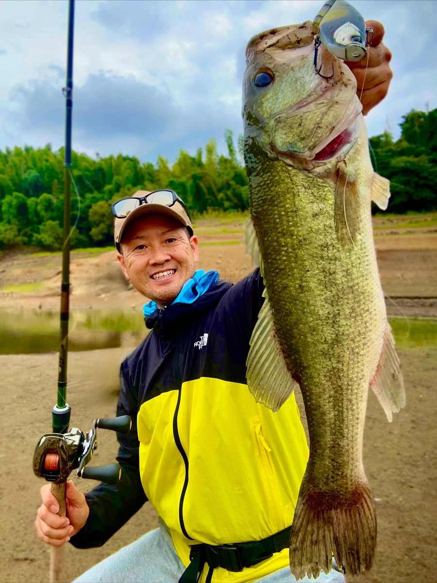 ELEMENTS® JAPAN on X