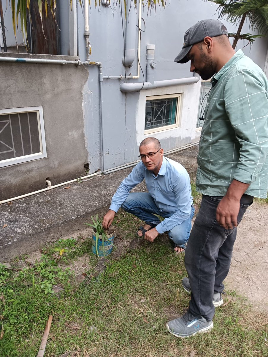 FoodMandi's tweet photo. Cleanliness drive under Swachhata hi Sewa -2025 - Special Campaign 5.0 at HG Bilaspur, Mandi. #SpecialCampaign5_0 https://t.co/RQP5HePkvH