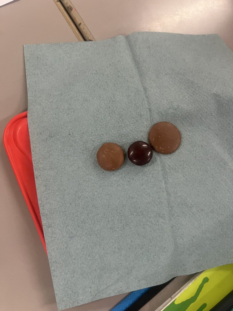 Brompton-Westbrook Science tweet media