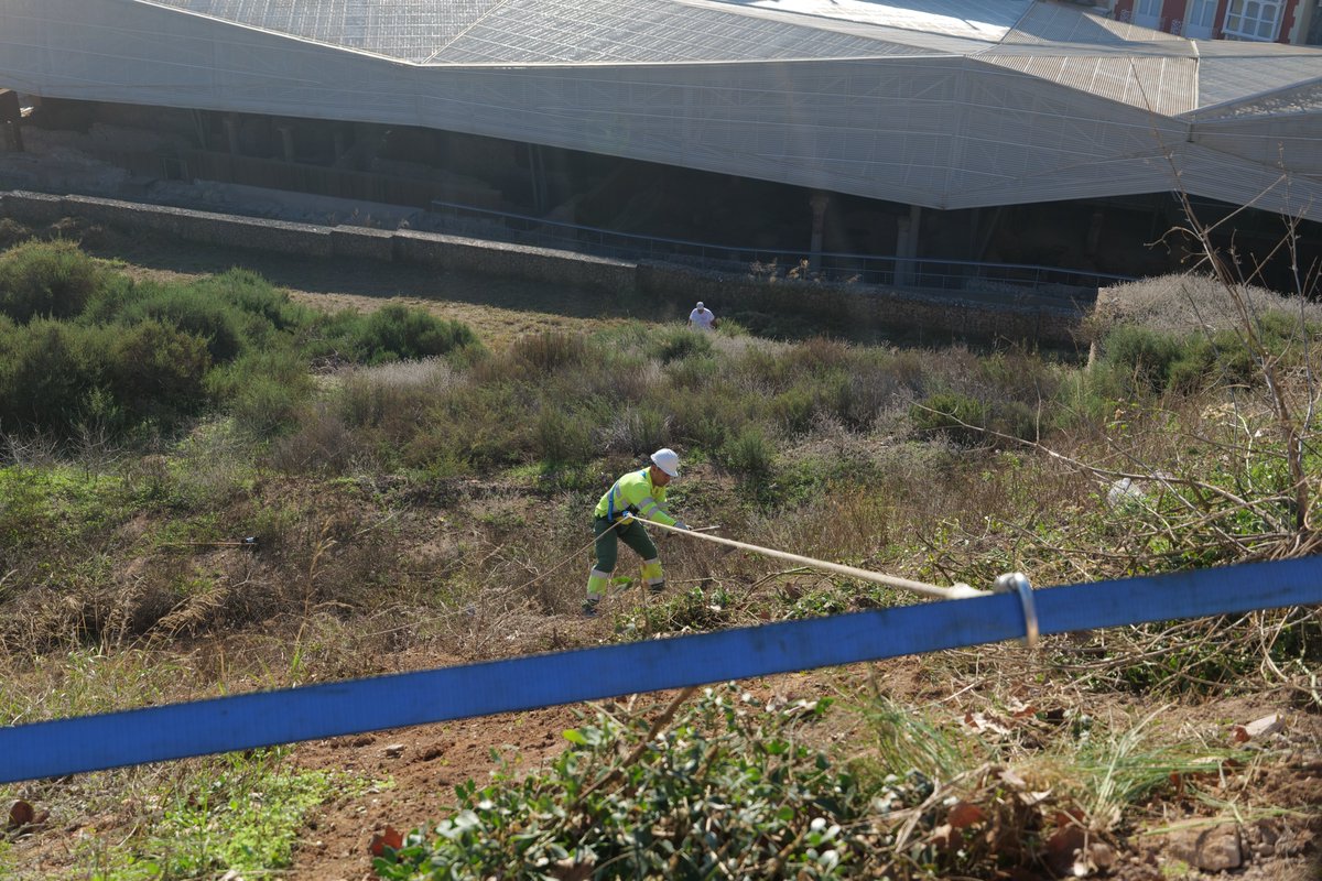 Jardines de Cartagena tweet media
