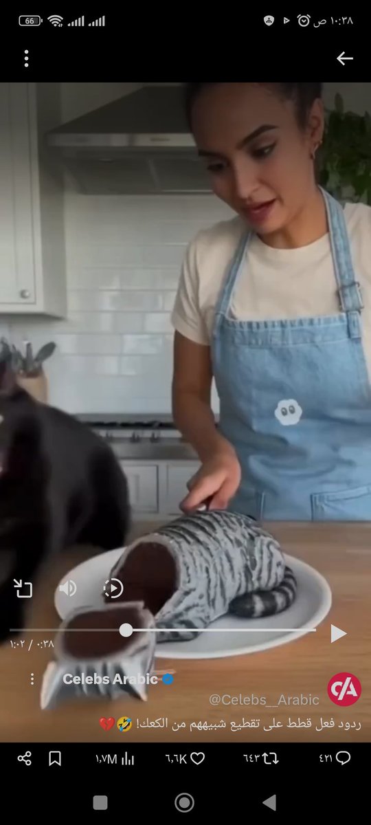 الحراق tweet media