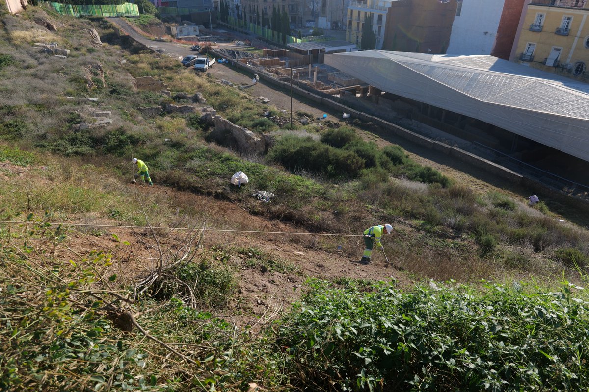 Jardines de Cartagena tweet media