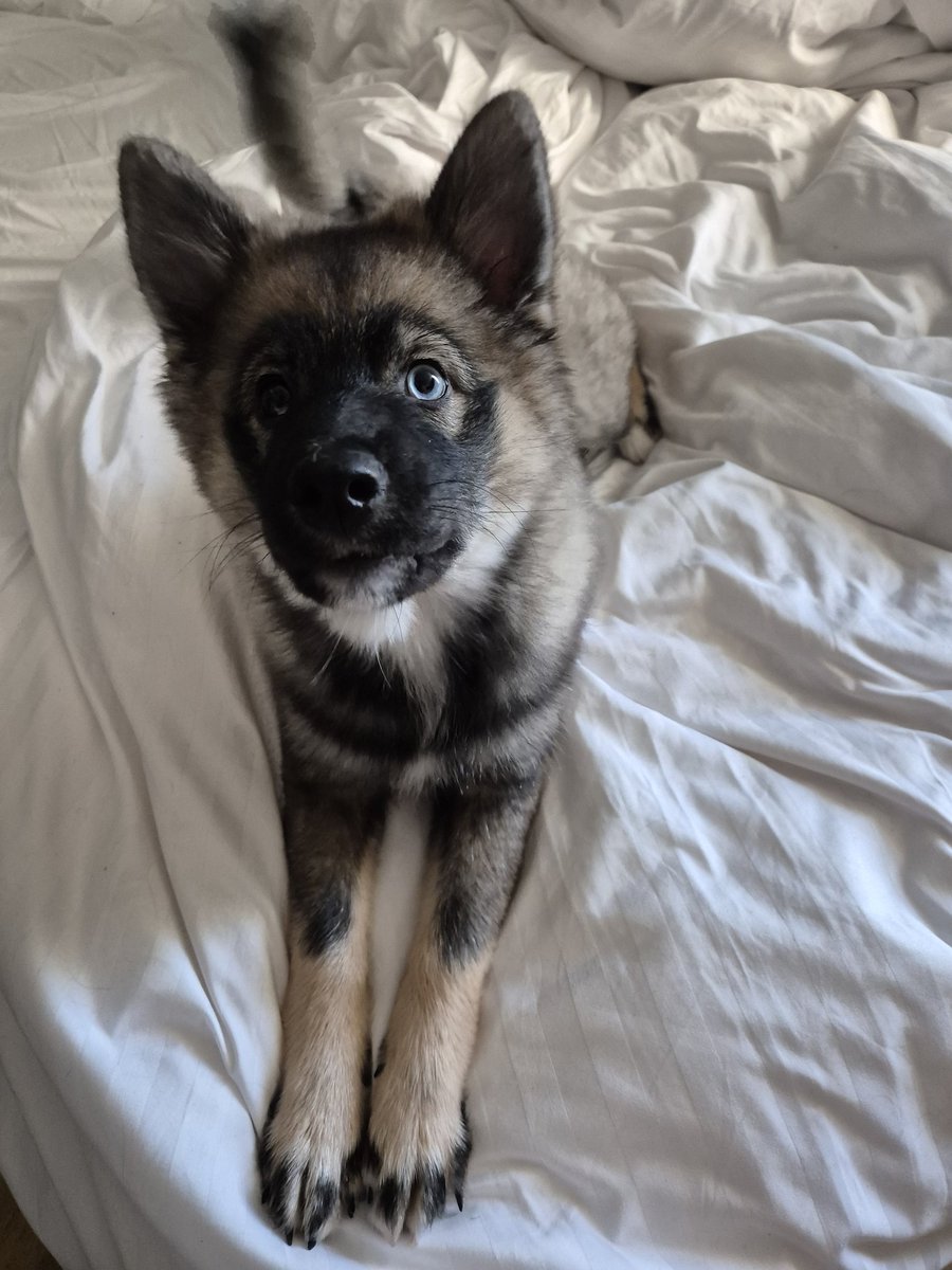 Coucou à toute la #FBL13 😁