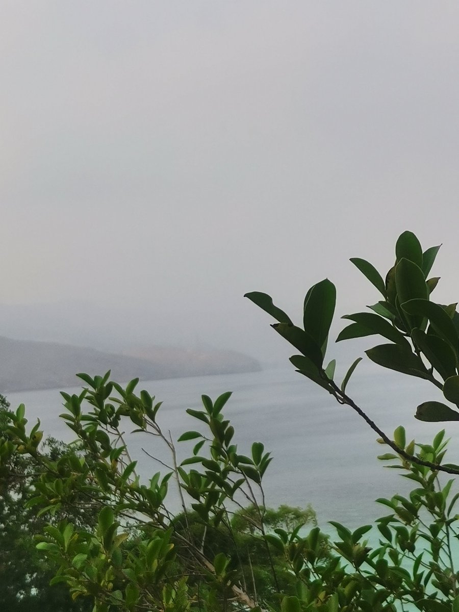 _6AM6's tweet image. ضع نية الخير في قلبك ، وسيتولى الله أمرك ، فعلى قدر النوايا تكون العطايا ..&quot;