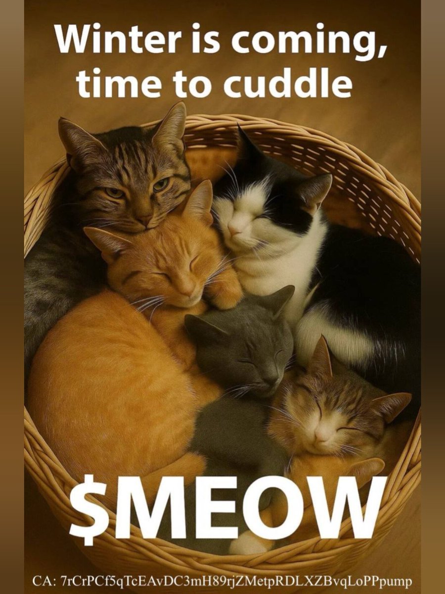 sunshinlady22's tweet photo. #kittehcoin $MEOW on Solana https://t.co/eifsREvfR3