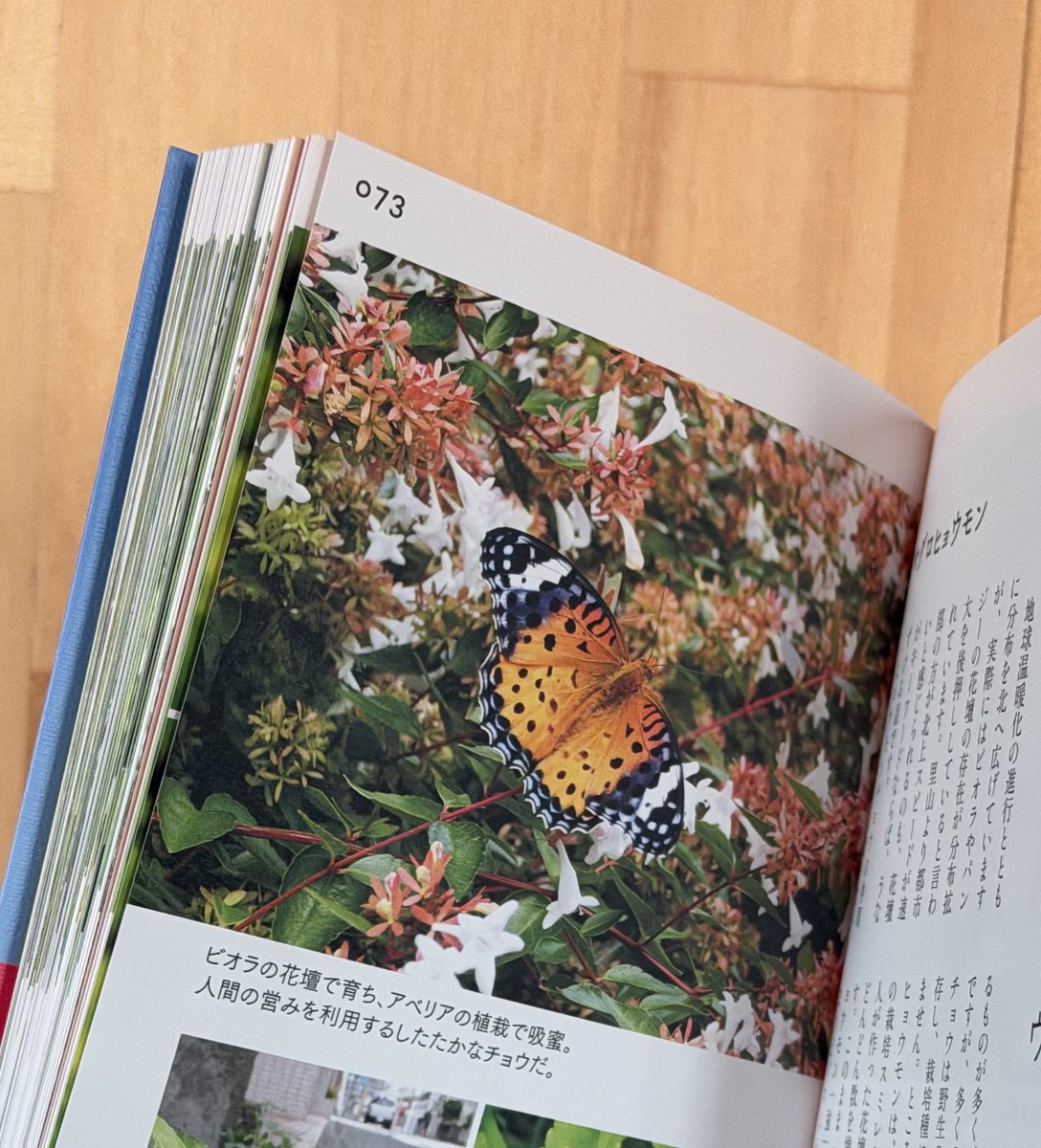 山と溪谷社いきもの部 on X