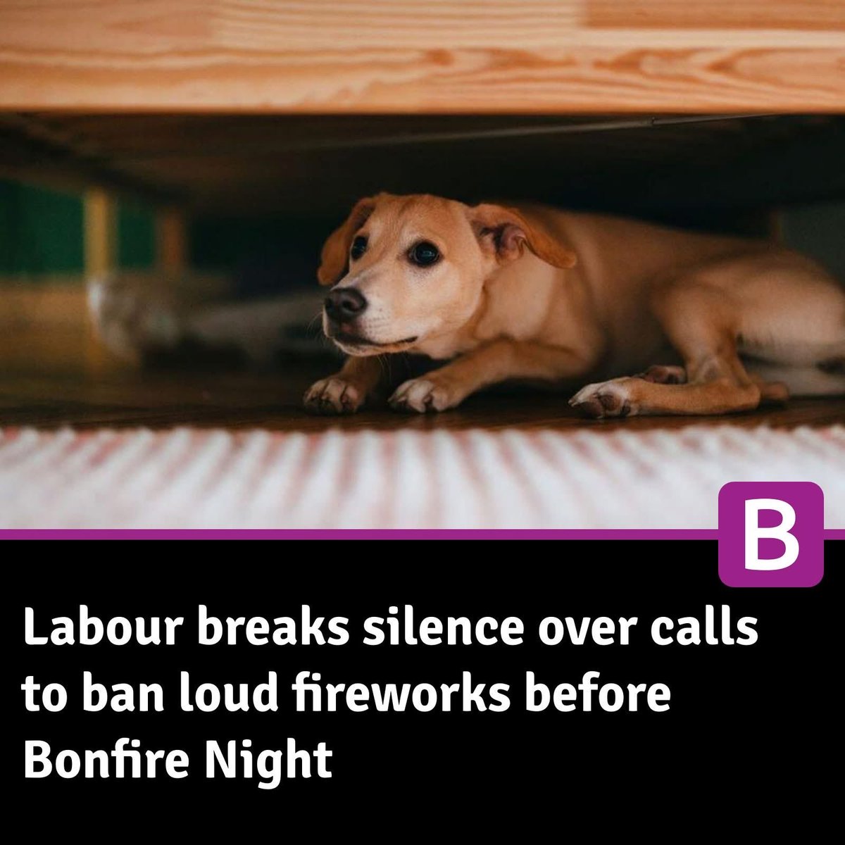 The Government make no commitment to tighten the regulation &amp; sale of fireworks despite the huge fear and suffering they cause to wildlife pets and domestic animals, shameful