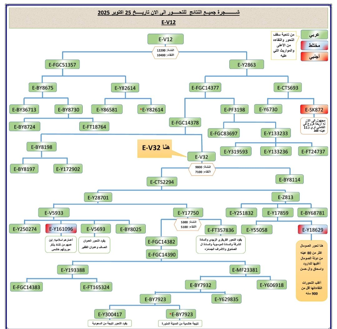 تم الذكر هنا  فى الجدول ان العينات الصومالية تحت E-V32 عمرها أقل  من 900 ولكن هناك عينات صومالية وبالتحديد تحت الفرع الأسفل E-Z813 وبعمر 3800 سنة.  وللعلم هناك قبائل من أصل صومالى فى تشاد السبب الذى يتركز عليه التحور  E-V32 هناك.