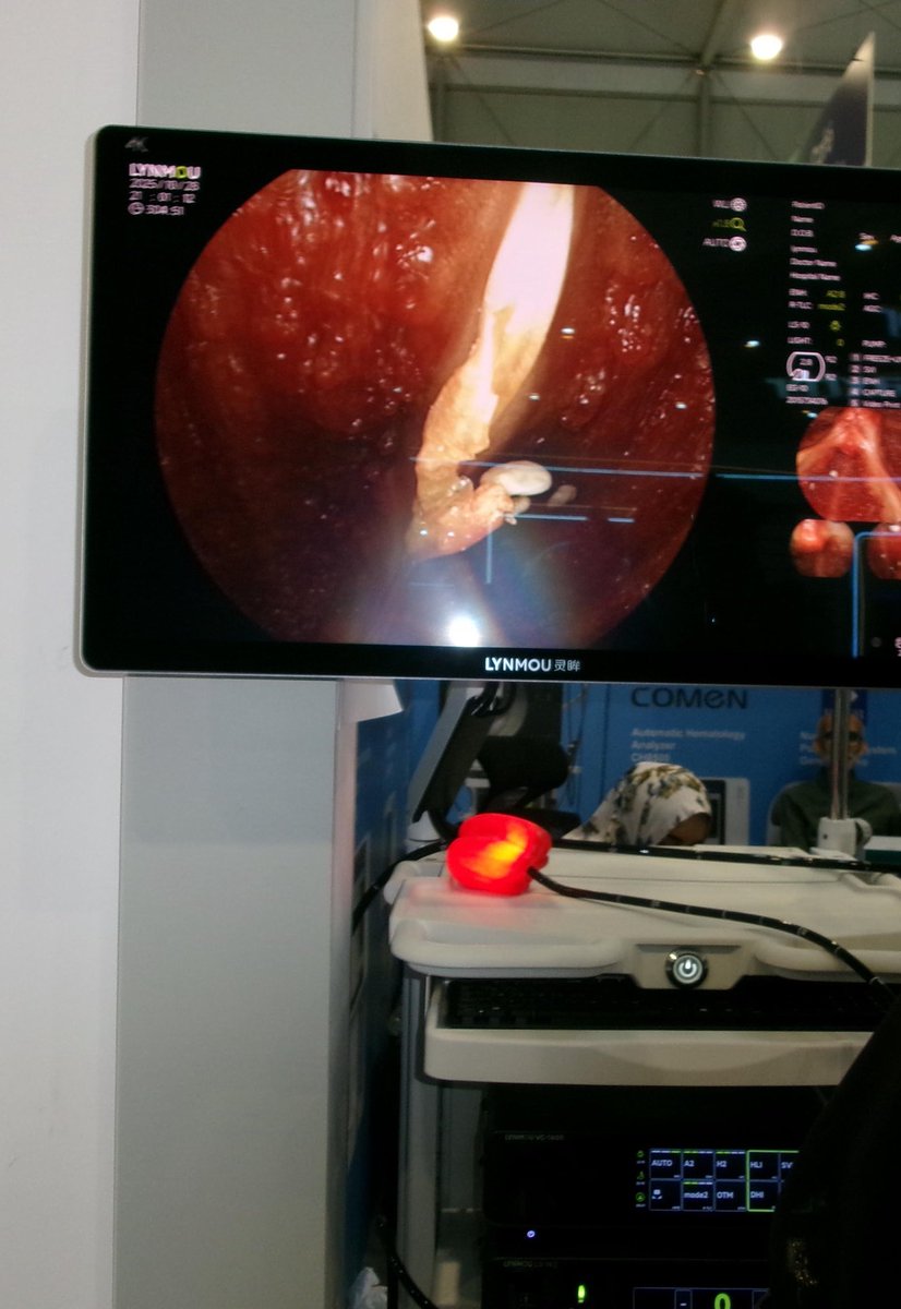 Shaykah Al burayk| شيخه آل بريك (@bme445) on Twitter photo 