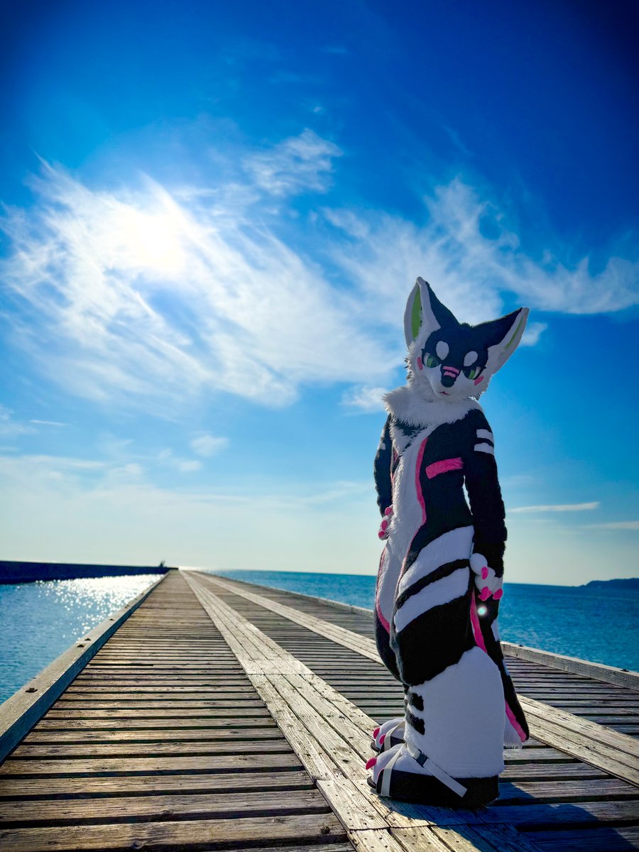 🎃 1st Anniversary🎃
活動を始めてから1周年になったよ！
2年目もたくさん遊びにいきたいな🐕🐾

#kemonoline
#FursuitFriday