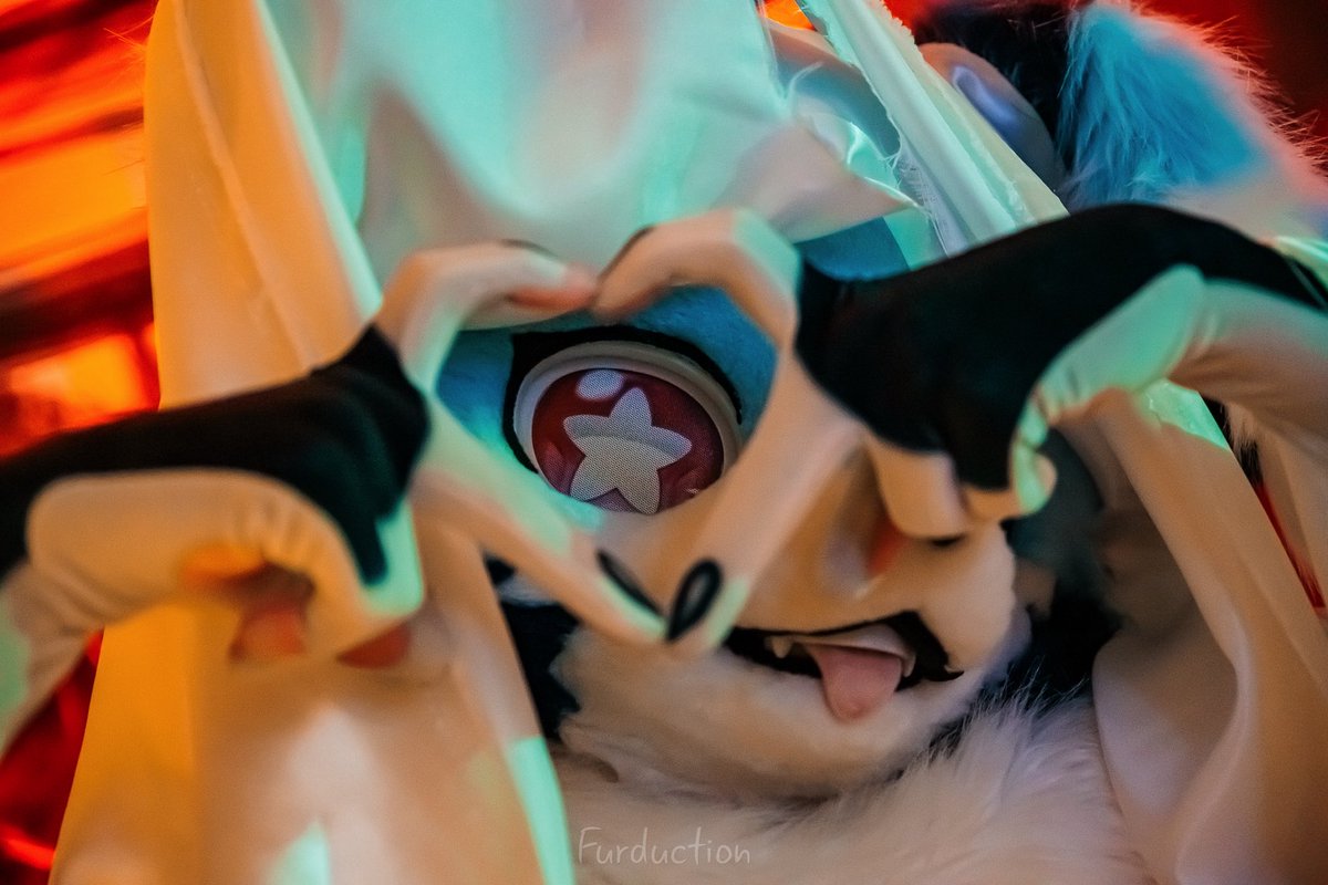 Foxy DREAM tweet media